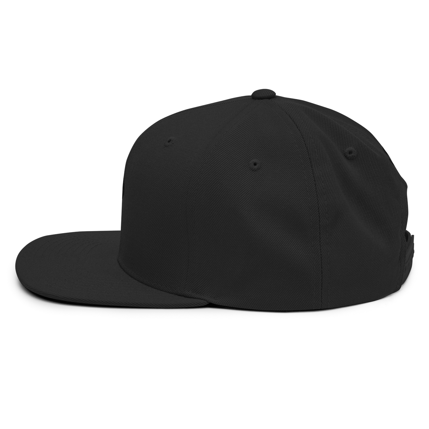 Casquette Snapback Signature Primaire - Alpha Brut